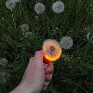 Meet your Posher, Styx